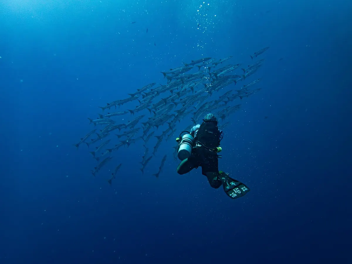 Five Common Mistakes in Coral Reef Environmental Impact Assessments